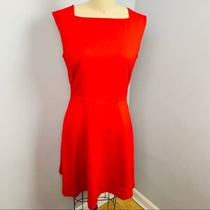NWOT 1. State Skater Dress